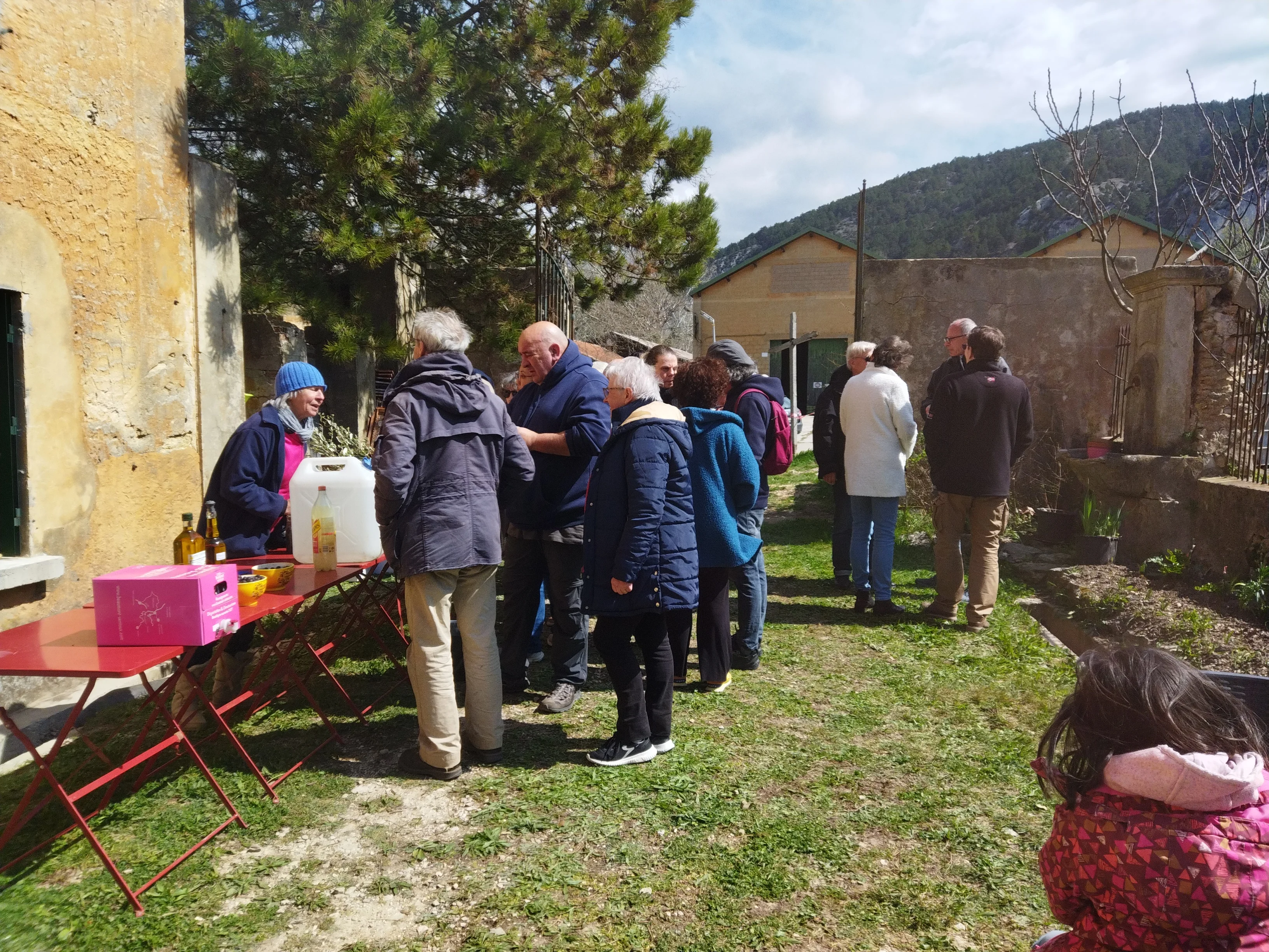 Vente d'huiles d'olive
